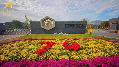 寧陽縣2019“金彩山”魯酒文化節(jié)開幕
