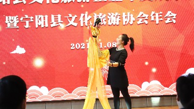金彩山助力 寧陽縣文化旅游企業(yè)年度成果展